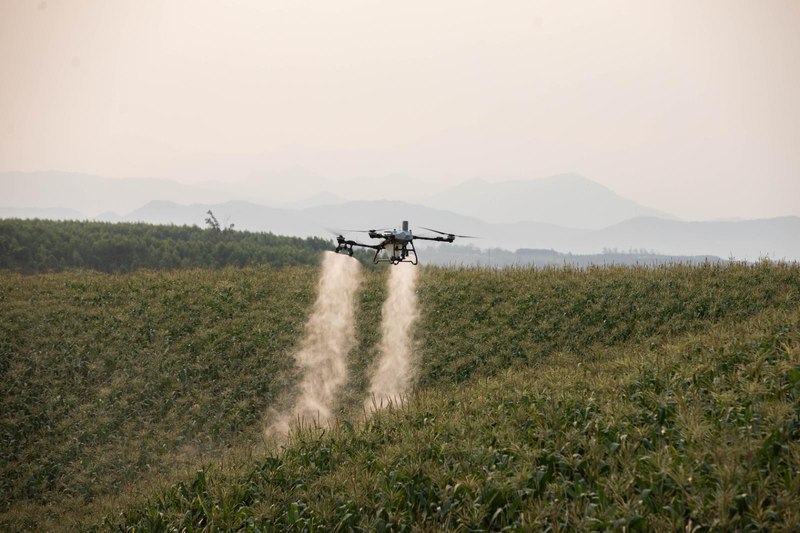 Pulverização agrícola com drone sobre lavoura